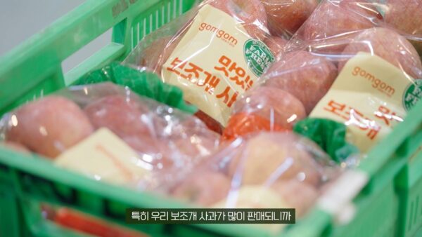 쿠팡 사과농가 매출 성장