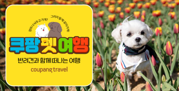 쿠팡 쿠팡트래블 쿠팡펫여행 론칭