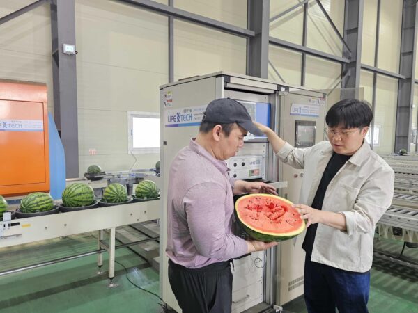 쿠팡 과일 새벽배송 AI 선별 시스템 확대